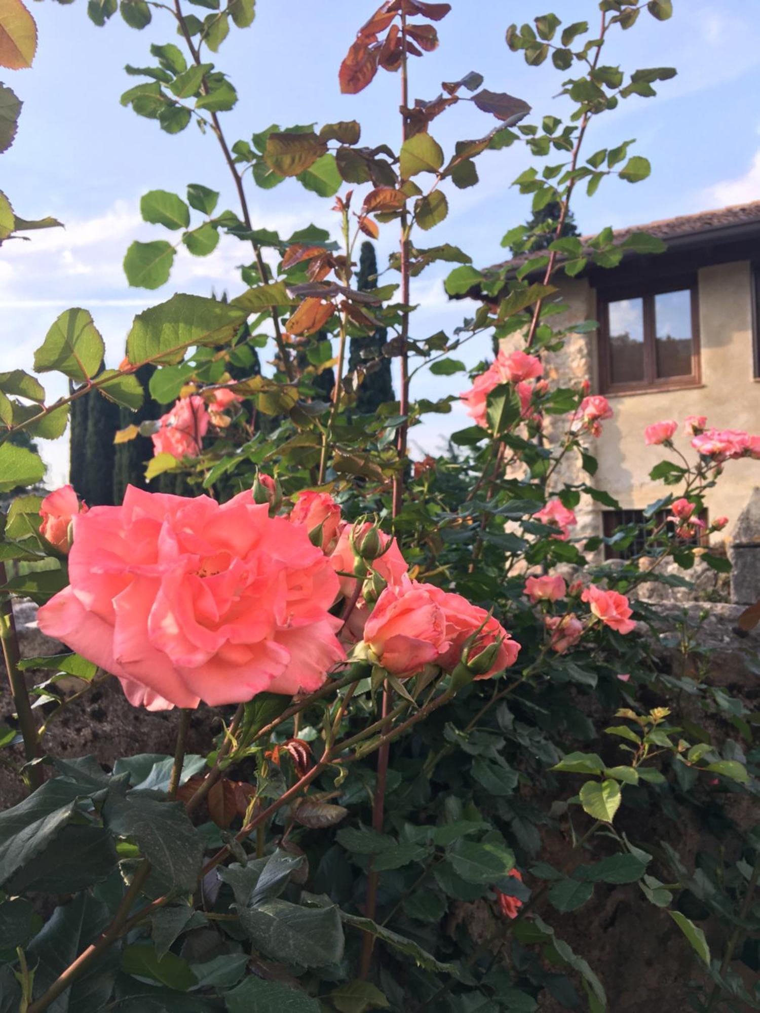 Agriturismo Val Costermano Exteriér fotografie